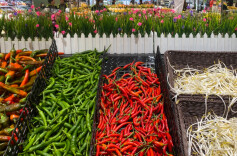 小米椒“身价”上涨，零售价超16元/斤