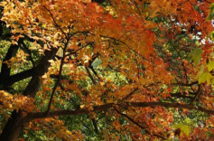 周末·天气丨寒潮拜拜！“阳光大礼包”就位再冲20℃