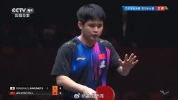 林诗栋负于张本智和，无缘WTT总决赛男单决赛