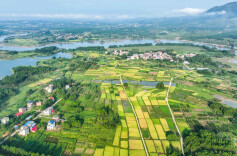 Hunan's Agricultural and Rural Affairs Achievements in 14th Five-year Plan Period