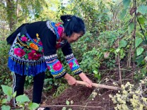 美味松露，缘何成中国新“土特产”