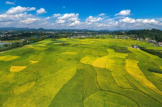 公示！拟确定6家单位为2025年湘西州乡村旅游重点村