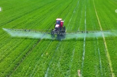 江永满足农村群众“喝好水”期盼@湖南日报