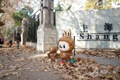 上海多条马路限定风景刷屏出圈！美出新高度，已进入倒计时，想打卡要抓紧→