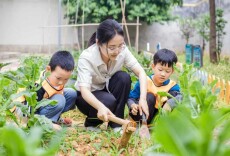 十年初心映党徽 躬耕幼教育桃李