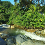 太平溪的早晨|湘江副刊·湘韵