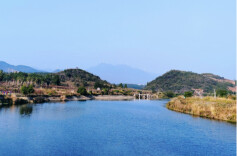 临武县聚力清理水葫芦 绘就河湖生态新画卷