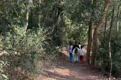 “野爬”暗藏多重风险