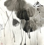 赵涛：荷期自性