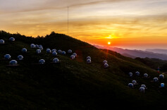 零陵长辈食堂吃出幸福味@湖南日报要闻版