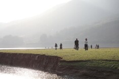 新田：“打卡”冬日滩涂 邂逅家门口的“阿勒泰”