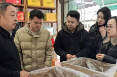 凌云茶香飘星城 “凌雲白毫”产销对接成果丰硕