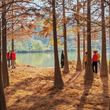 图说怀化 | 杉红水绿吸引游人“打卡”