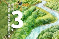 倒计时3天|大地流彩，湖南省乡村厨艺大晒即将开“晒”