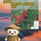 古丈茶宝来科普，禁放限放说清楚……