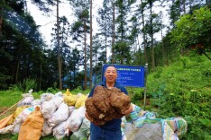 隆回：深化集体林改实现绿富同兴