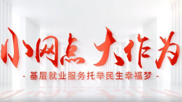视频丨岳阳：小网点大作为 基层就业服务托举民生幸福梦
