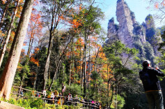 武陵源区总工会将向全省发放200万元文旅消费券