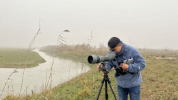 数十万只候鸟，是怎么“数”出来的？