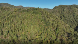 新宁：舜皇山珍稀“住户”同框邂逅生态之美