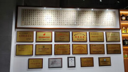 科技赋能缔造茶油之都的“智”造新篇——湖南邵阳县日恋茶油擘画百亿产业蓝图