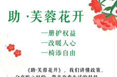 助·芙蓉花开｜一册护权益，一改暖人心，一椅添自由