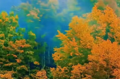 江永“冬季务工队”田间挣钱忙@湖南日报