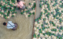 辛小湘丨必须做到既“放得活”又“管得好”