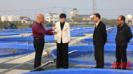 雷欣调研重点产业项目：做强产业支撑 积蓄高质量发展动能