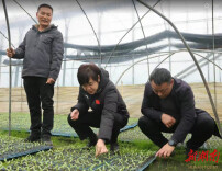 雷欣调研产业项目及省委巡视反馈问题整改情况