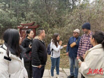 湖南新康辉考察张家界户外线路，张旅集团携手研发欧美游客休闲徒步精品