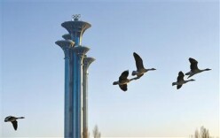 奥森迎来新客人