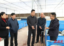 陈淼带队赴长沙文和友考察交流