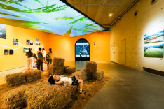 湖南省第十一次文代会专题｜湖南省摄协：守正创新铸品牌 影像赋能新时代——第十次湖南文代会以来省摄协工作综述