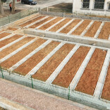 粪污共治项目落地，乡村风景靓丽上线——2025年望城区农村人居环境补短板项目见成效