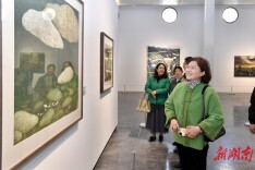 湖南美术馆永州分馆开馆 美术名家邀请展同步启幕