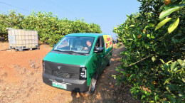 流动快递车开进果园，永兴冰糖橙“一路快跑”