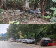 月光山路“变形记”：昔日绕着走 今成“幸福道”