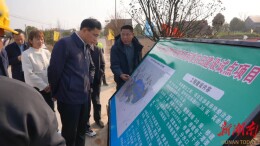 王启武调研督导高标准农田建设