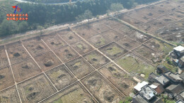 “粮田”变“良田”  江华高标准农田建设掀热潮