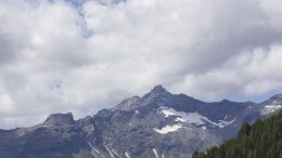 景区岂能放任趁“红”打劫