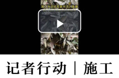 报道之后│乡政府积极介入，已得到合理补偿