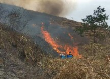 创逆人生 逐梦基层——记全国向上向善好青年、湖南省选调生王玉锋