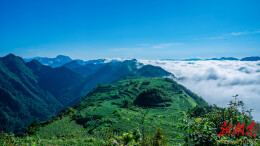 美文欣赏丨水韵桥自弯