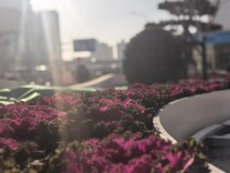 围栏变花箱，增设京张铁路文化墙，北京北站升级“花园站区”