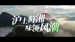 视频｜“永州问道”之“从田间到舌尖 永州好味道”③沪上鲜湘 味领风潮