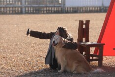 萌宠重塑消费新赛道，北京平谷如何“宠”出新经济？