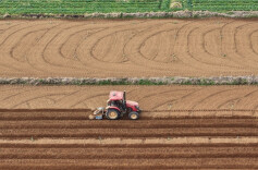 Farmers Busy with Agricultural Production as Dongzhi Solar Term Begins