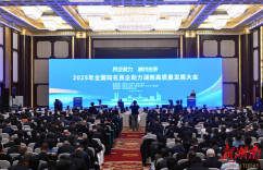 全国知名民企助力湖南高质量发展大会在长沙举行