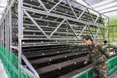 东安农商银行：鼎力支持青年创业 全力助力企业发展